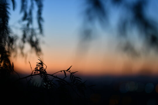Tramonto con cielo blu