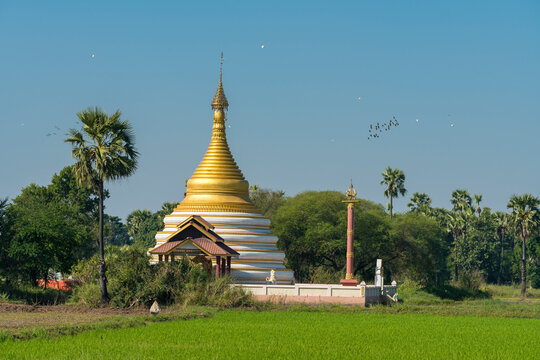 Pagoda amidst rice fields against clear sky, Inwa, Mandalay, Myanmar