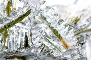 Hielo 1