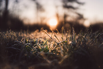 Frosty morning.