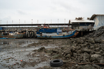 boats in the harbor