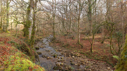 Río Bayones, Parque Natural Saja Besaya, Ucieda. Cantabria, España