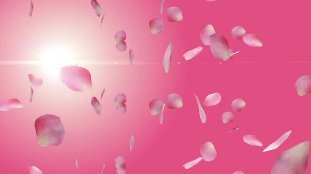 Valentine background with falling rose petals