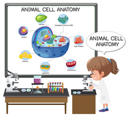 Anatomy of animal cell (Biology Diagram)