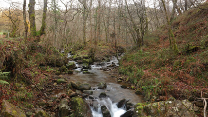 Obraz premium Río Bayones, Parque Natural Saja Besaya, Ucieda. Cantabria, España