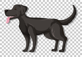 Black Labrador Retriever in standing position cartoon character isolated on transparent background