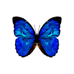 low poly butterfly isolated on white background
