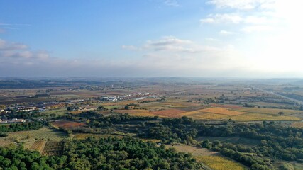 Fototapeta na wymiar survol des vignes dans le sud de la France