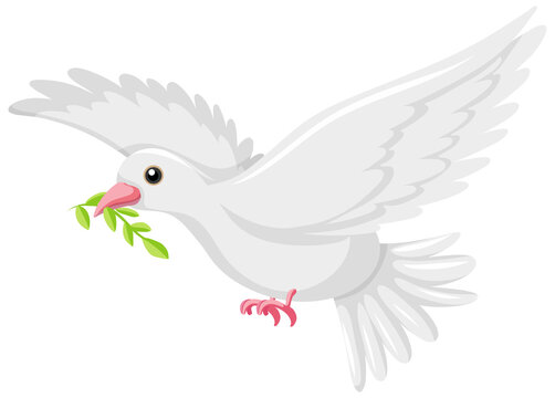 White dove icon on white background