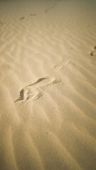 close up footprints in the sand, state of a mind concept, travel and vacation, walking on the beach in summer