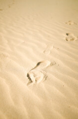 close up footprints in the sand, state of a mind concept, travel and vacation, walking on the beach in summer