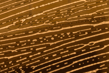 The induction stove surface with a foamy detergent. Abstract pattern on an induction cooktop (hob) as a background