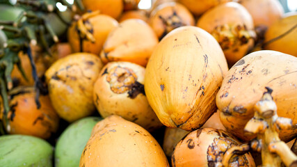 Golden king coconuts, a pile of raw and ripe coconuts. Coconut oil ingredient, fruit market in...