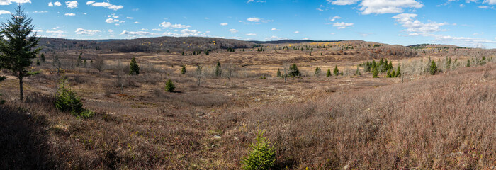 Panoramic of Dolly Sods Wilderness in late autumn, West Virginia Appalachian wilderness.