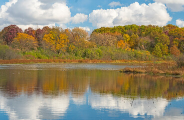 October Colors on a Wetland Pond