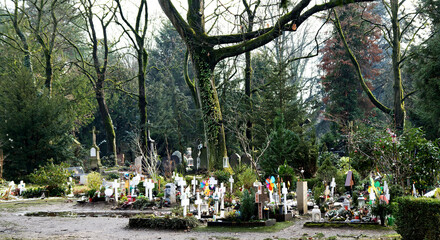 children's graves with white crosses under a tree in a cemetery in winter