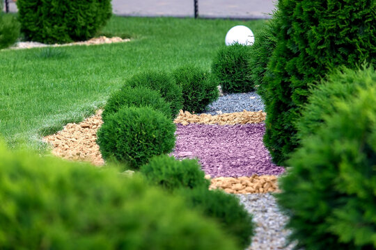 Landscape bed of park with ornamental growth evergreen bushes gravel mulching by color rock way on a day spring garden with green lawn close up details, nobody.