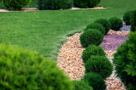 Landscape Bed Of Garden With Environment Growth Bushes Gravel Mulching By Natural Rock Way On A Day Spring Park With Green Lawn Close Up Details, Nobody.