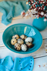 Composition on a white table with branches of blooming apricots, quail eggs in a blue plate and blue towels. Vertical image.