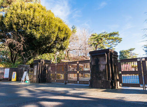 一橋大学　国立キャンパス