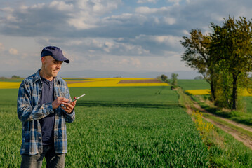 Naklejka na ściany i meble Successful Agronomist Touching Wheat Crops and Examining Agriculture Field