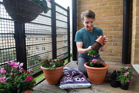 Young man enjoying doing some gardening on his balcony