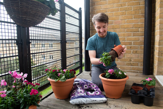 Man planting flowers on his balcony with a smile