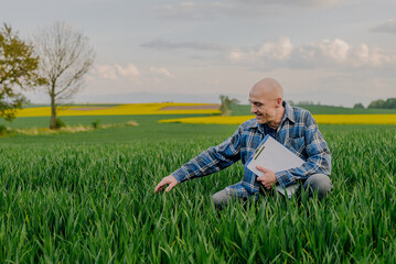 Portrait of Successful Farmer Examining Crops at Agriculture Field. Farmer Looking at Crops Wheat Field