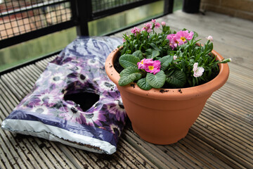 Freshly planted flowers next to an open bag of compost
