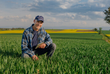 Naklejka na ściany i meble Portrait of Successful Farmer Examining Crops at Agriculture Field. Farmer Looking at Crops Wheat Field