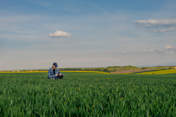 Fototapeta na wymiar Portrait of Successful Farmer Examining Crops at Agriculture Field. Farmer Looking at Crops Wheat Field