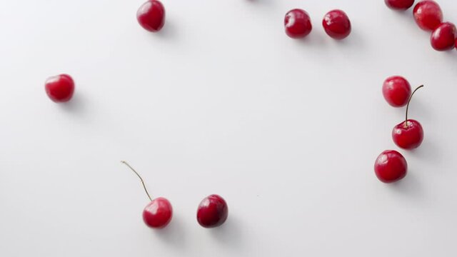 Lots of juicy red cherries berries roll and fall on a isolated white background. Table top slow motion shot.