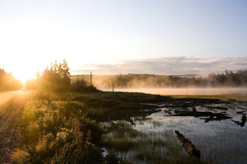 Sun rising over national park landscape in Ontario