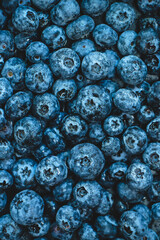 blueberries in the water