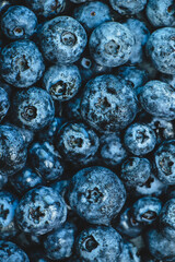 blueberries in a glass bowl