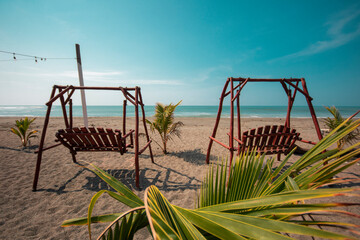 grass on the beach