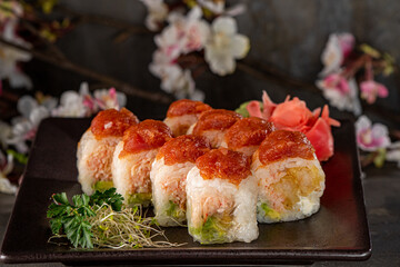 Colorful Plate of Sushi Rolls