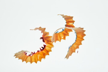 白いパックにカラフルな色鉛筆削りカスの様子