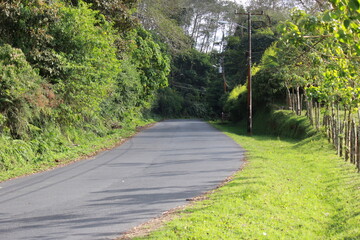 Carretera