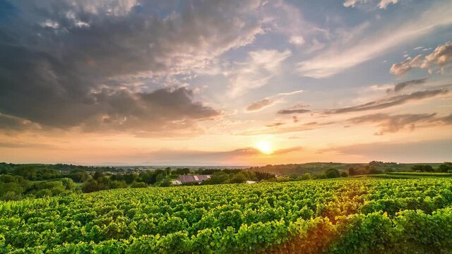 Time-lapse of vinery scenery at sunset, Freiburg im Breisgau in Germany