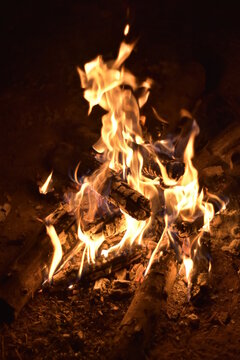 fire in the night