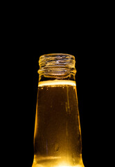 Bottom Lit Beer Bottle