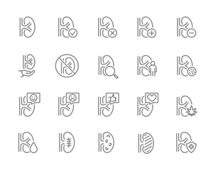 Set of human kidneys line icon. Healthy internal organ, organ responsible for filtering blood illness, diagnosis, treatment and more.