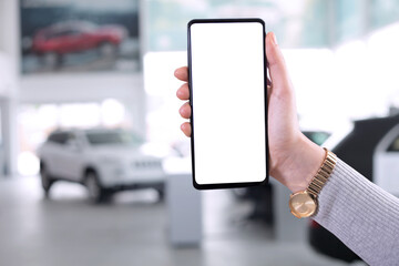 person holding a phone