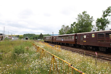 Naklejka premium 삿포로 오래된 기차역