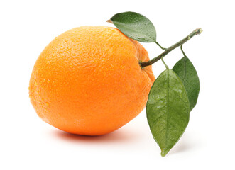 Orange fruit on the white background