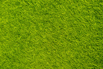 Green artificial grass natural