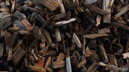 Background image of pices of wood and natural objects