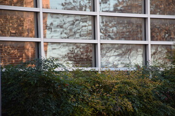 window in the spring