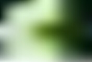 Dark Green vector blurred bright pattern.